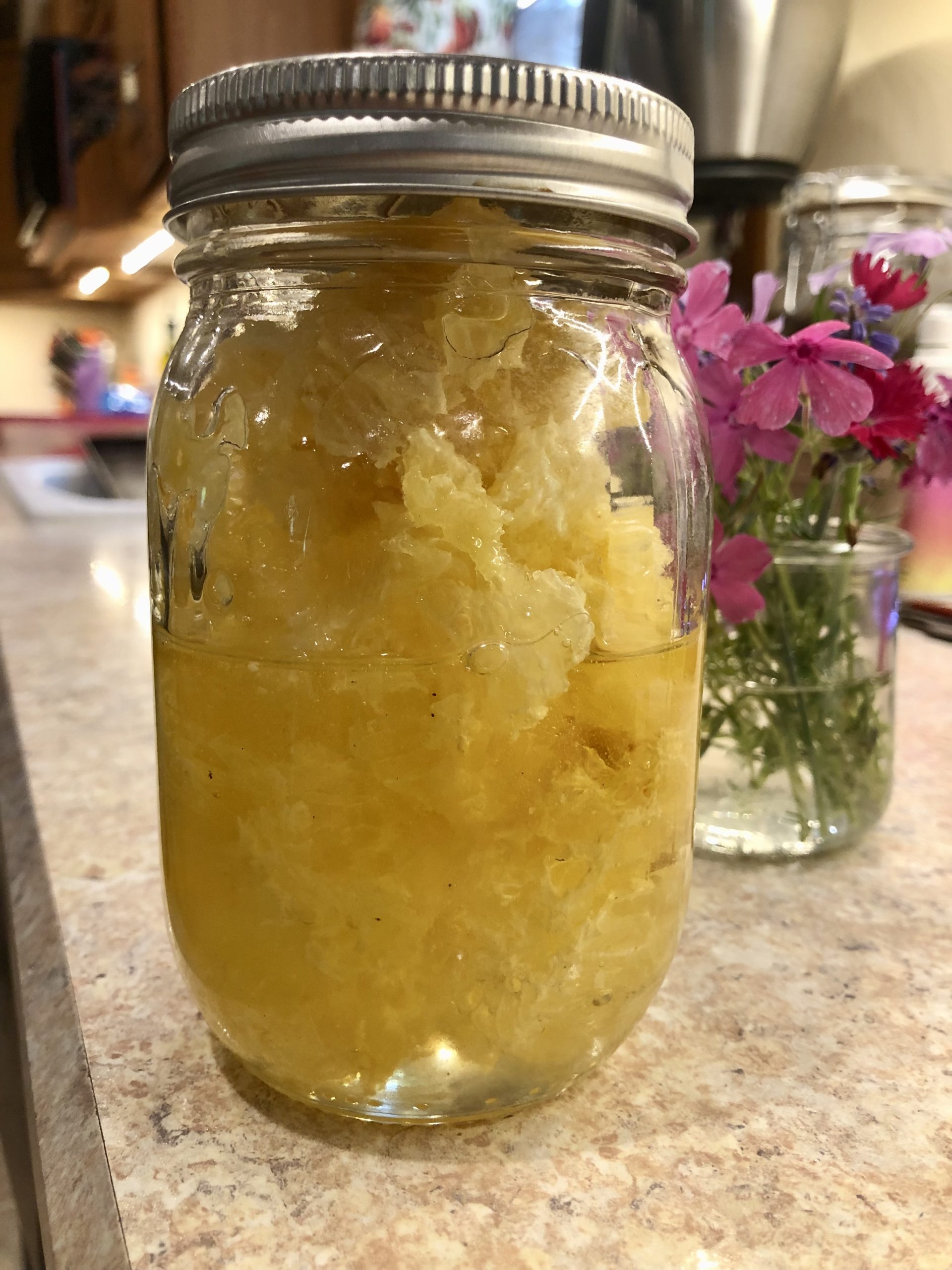 Burr Comb and A Beekeeper’s Spoils